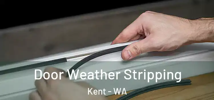  Door Weather Stripping Kent - WA