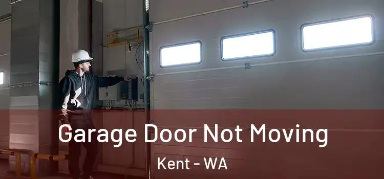  Garage Door Not Moving Kent - WA