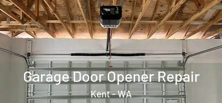  Garage Door Opener Repair Kent - WA
