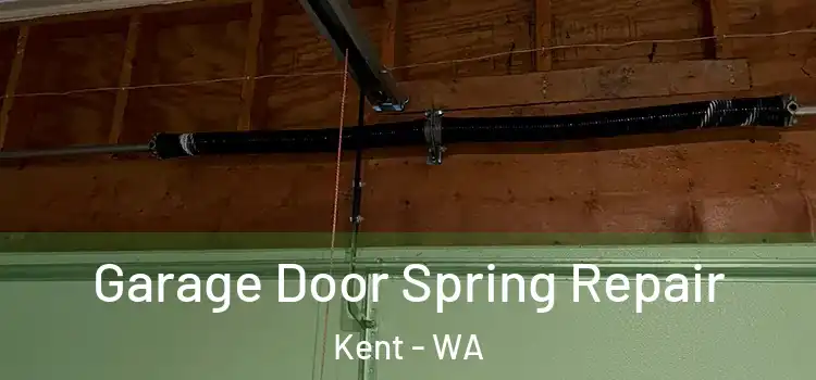  Garage Door Spring Repair Kent - WA