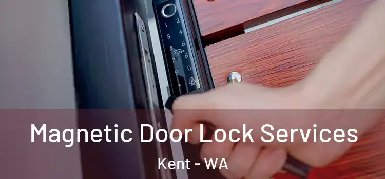  Magnetic Door Lock Services Kent - WA