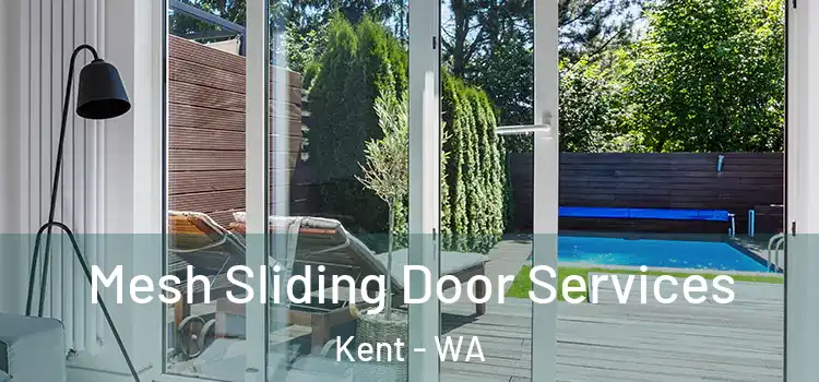  Mesh Sliding Door Services Kent - WA