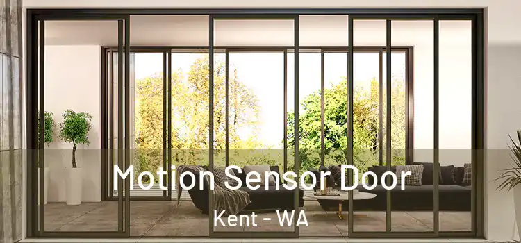 Motion Sensor Door Kent - WA