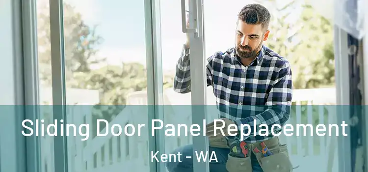  Sliding Door Panel Replacement Kent - WA