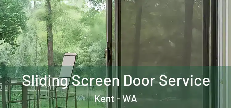  Sliding Screen Door Service Kent - WA